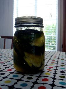 DSC05620 my refrigerator pickles