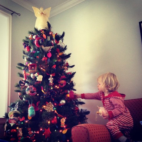 Our tree, which was (gasp) up before Thanksgiving this year.