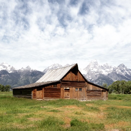 Newsflash: Instagram is Filtered | The Adventures of Ernie Bufflo