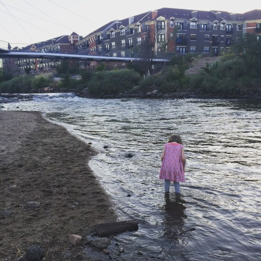 Denver Restaurant Reviews: Brider | erniebufflo.com